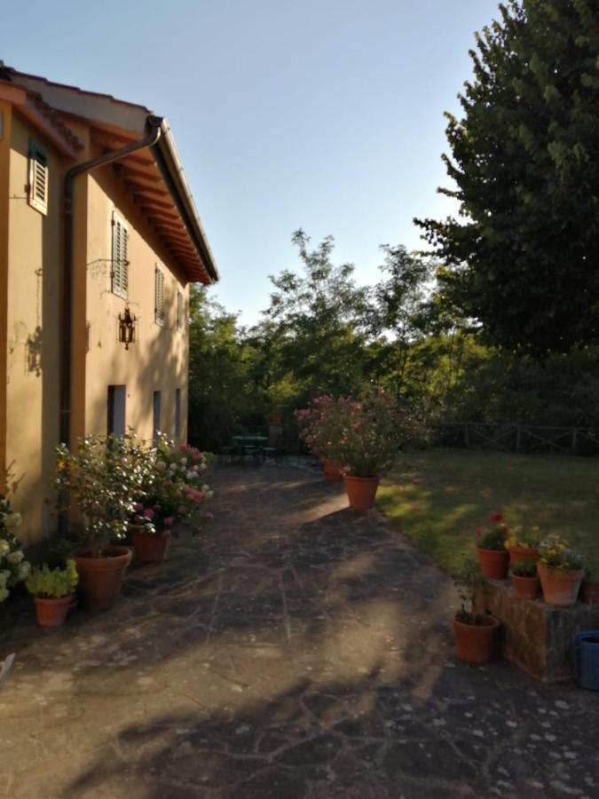 Mugello - casa di campagna Bed and Breakfast Vicchio Esterno foto