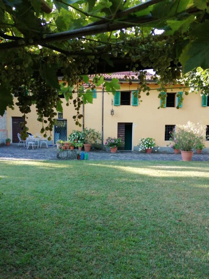 Mugello - casa di campagna Bed and Breakfast Vicchio Esterno foto